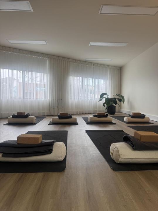 A quiet studio room with mats laid out in rows, each with a bolster, a folded blanket and a cork block, on a warm timber floor beside sheer-curtained windows.